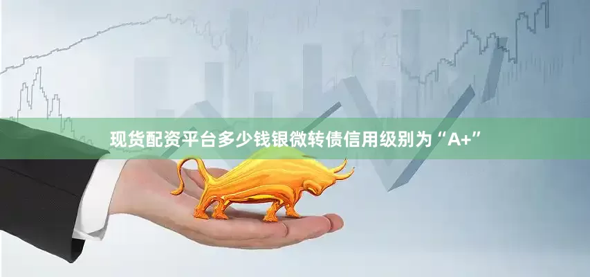 现货配资平台多少钱银微转债信用级别为“A+”