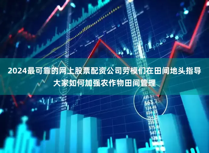 2024最可靠的网上股票配资公司劳模们在田间地头指导大家如何加强农作物田间管理