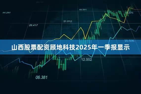 山西股票配资顾地科技2025年一季报显示