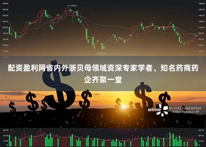 配资盈利网省内外浙贝母领域资深专家学者、知名药商药企齐聚一堂