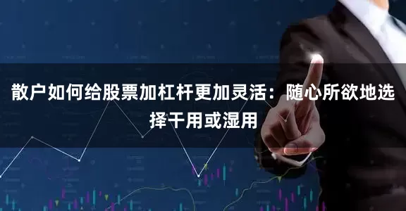 散户如何给股票加杠杆更加灵活:随心所欲地选择干用或湿用