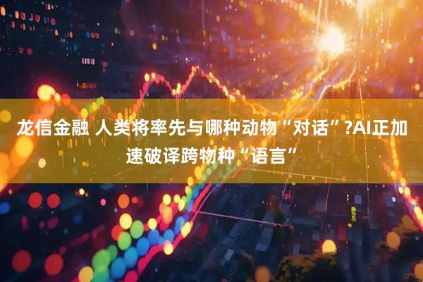 龙信金融 人类将率先与哪种动物“对话”?AI正加速破译跨物种“语言”